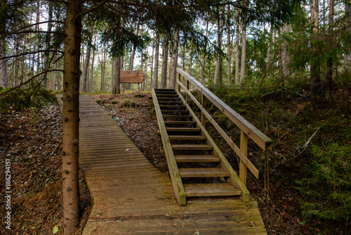 old wooden boardwalk covered with leaves in ancient forest
