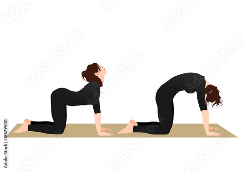Cat and Cow Stretch Pose