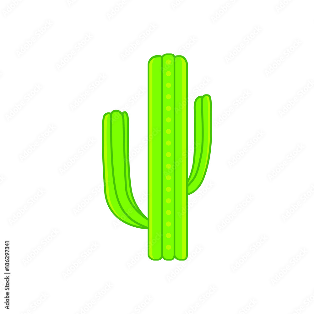 Cactus vector illustration. Cactus vector illustration.
