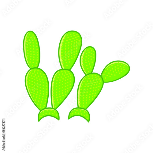 Cactus vector illustration.