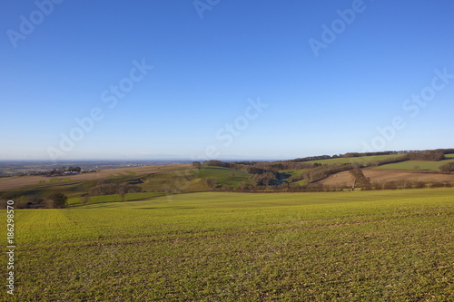 winter hillside landscape