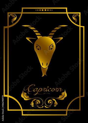 the zodiac sign