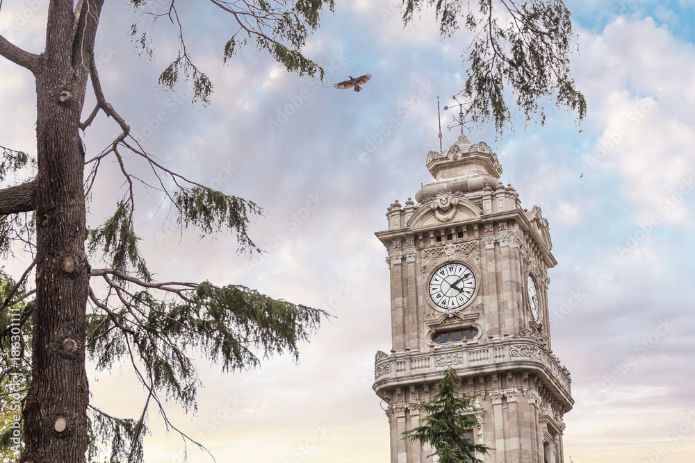 Clock Tower near Dolmabahce Palace