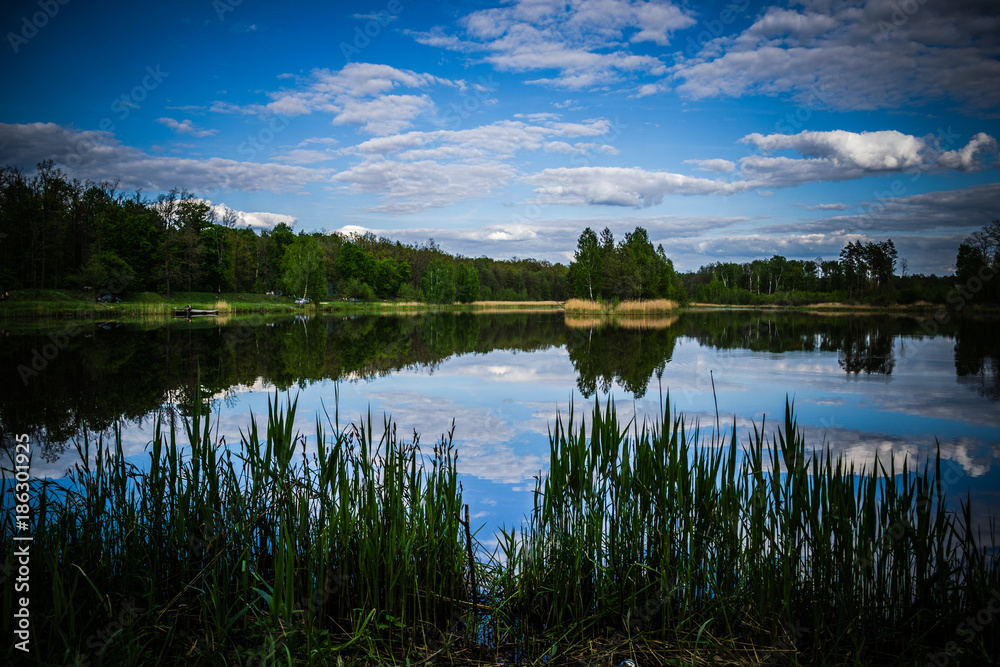 Obraz premium Beautiful forest lake with a reflection of the sky