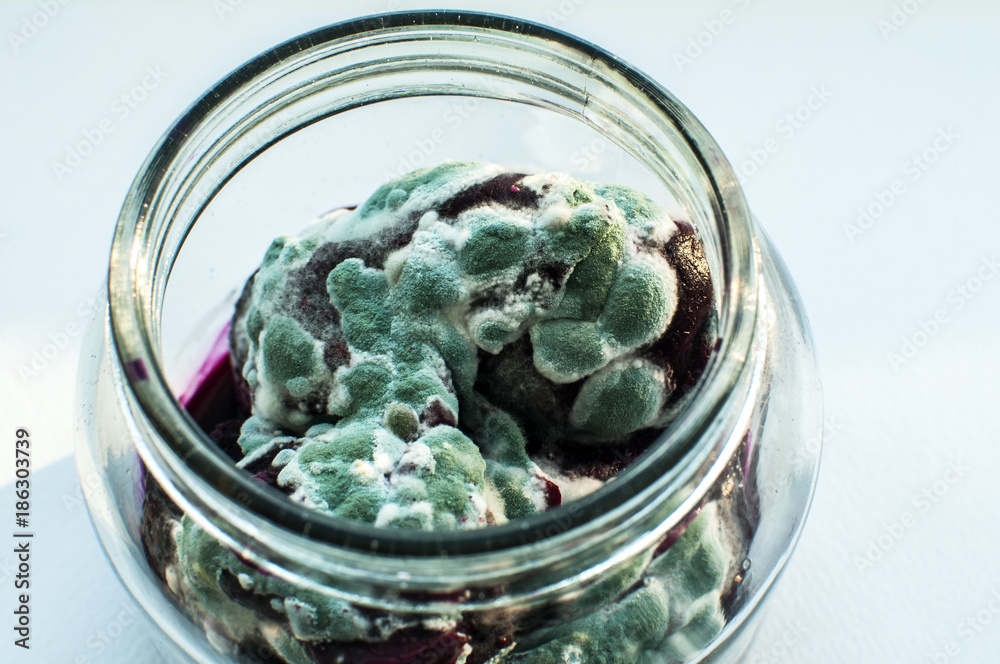 Open glass jar with mold grown on forgotten boiled beetroot closeup Open glass jar with mold grown on forgotten boiled beetroot closeup