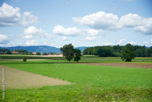 Switzerland landscape 2nd