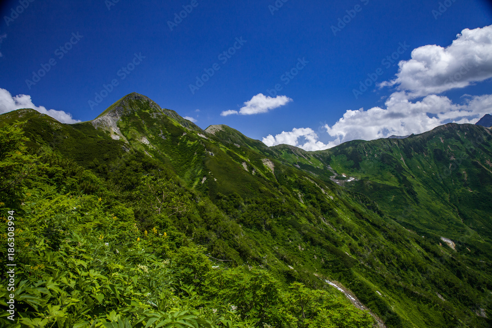 Fototapeta premium 山歩き