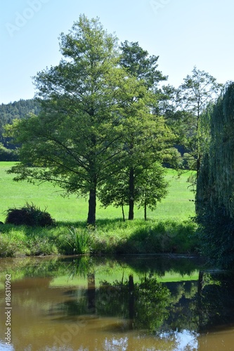 Landschaft bei Thierling in der Oberpfalz 