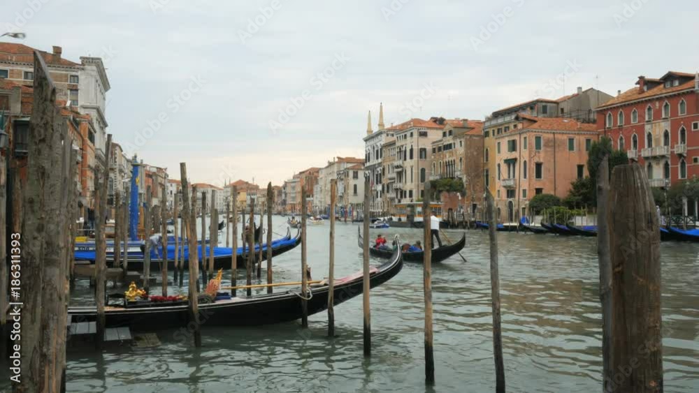 afternoon view of gondolas on the grand canal in venice, italy afternoon view of gondolas on the grand canal in venice, italy