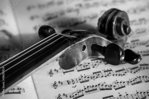 Violin and music