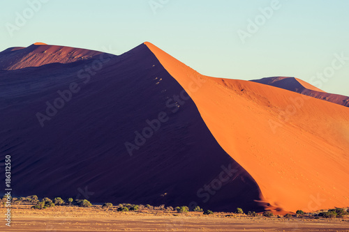 Panoramic view of red sand dunes in Sossusvlei near Sesriem in famous Namib Desert in Namibia, Africa. Sossusvlei is a popular tourist destination, the dunes are amongst the highest in the world.