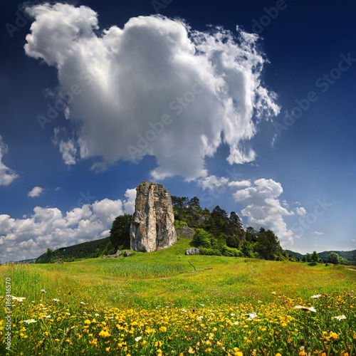 Dohlenfelsen mit Löwenzahnwiese bei Dollnstein photo