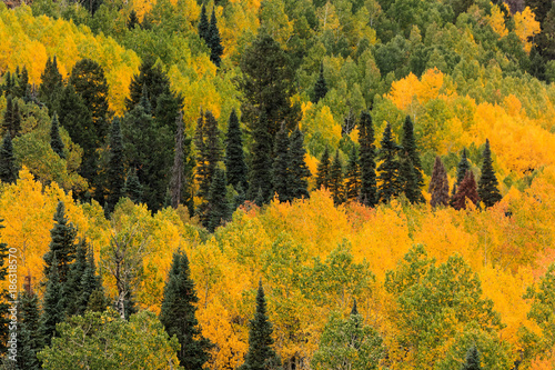 Beautiful and Colorful Colorado Rocky Mountain Autumn Scenery