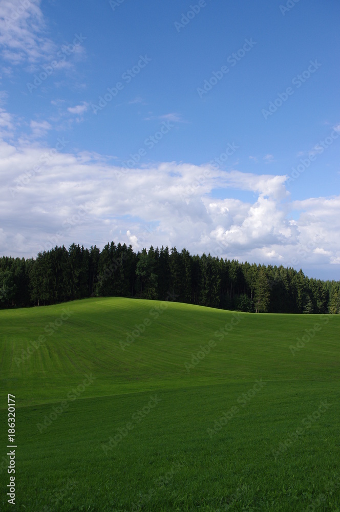 clouds green landscape clouds green landscape