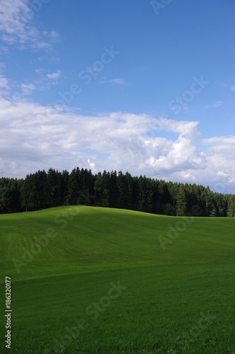 Fototapeta Naklejka Na Ścianę i Meble -  clouds green landscape