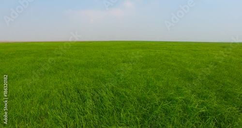 Inner Mongolia grassland in China photo