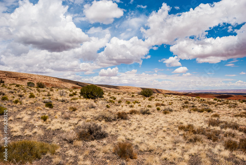 Painted Desert in Arizona, Desert Landscape with the Painted Desert on the Horizon