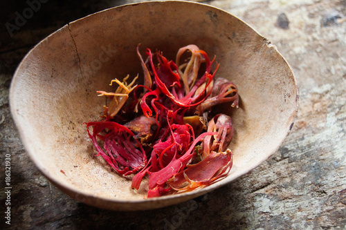 nutmeg mace isolated