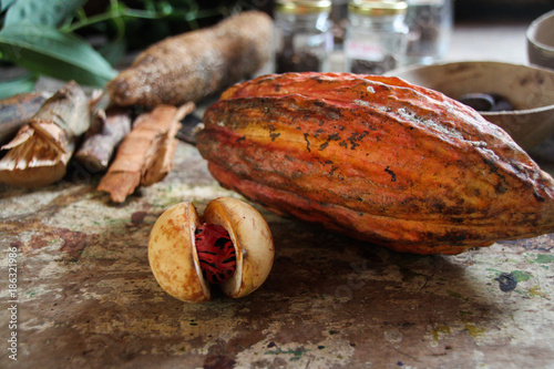 Cocoa at the island of Grenada