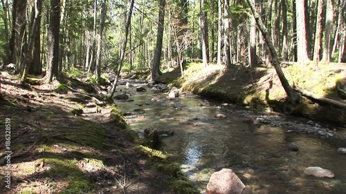 Scenic stream in forest, Maine