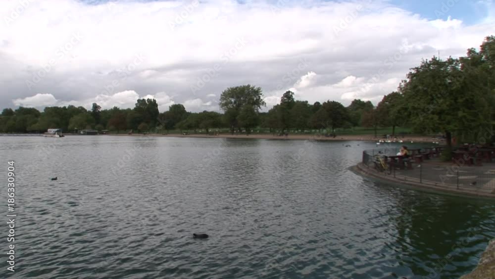 Ducks in Kensington Garden pond, wide Ducks in Kensington Garden pond, wide