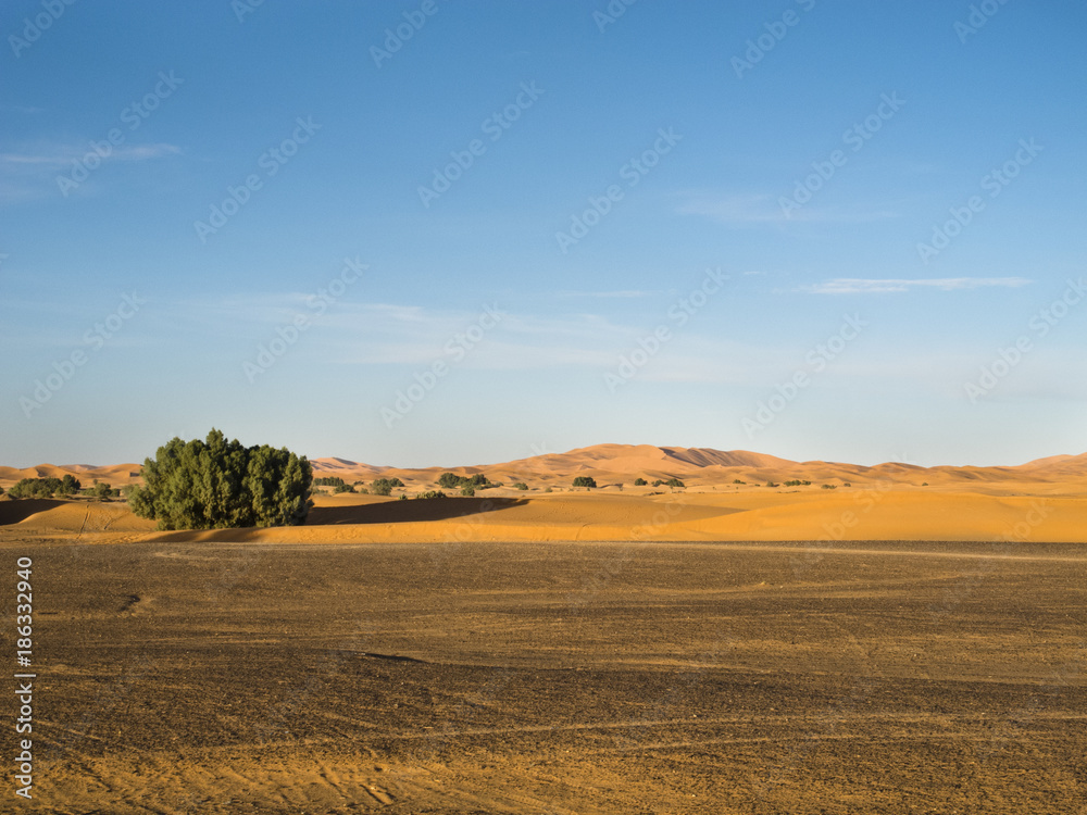 Wüste Erg Chebbi Marokko