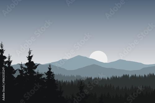 Vector illustration of mountain landscape with forest under gray sky with clouds