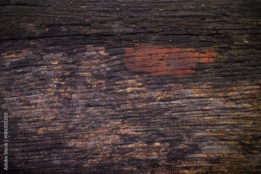 Fototapeta premium old wooden grunge background