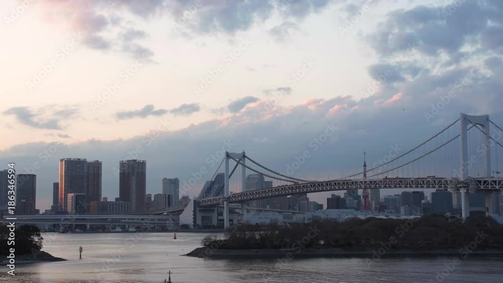 View of Rainbow Bridge and the Tokyo skyline View of Rainbow Bridge and the Tokyo skyline