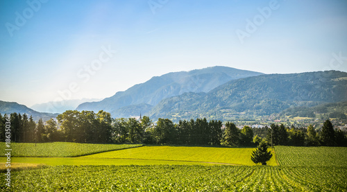 Summer panorama of Alps mountains