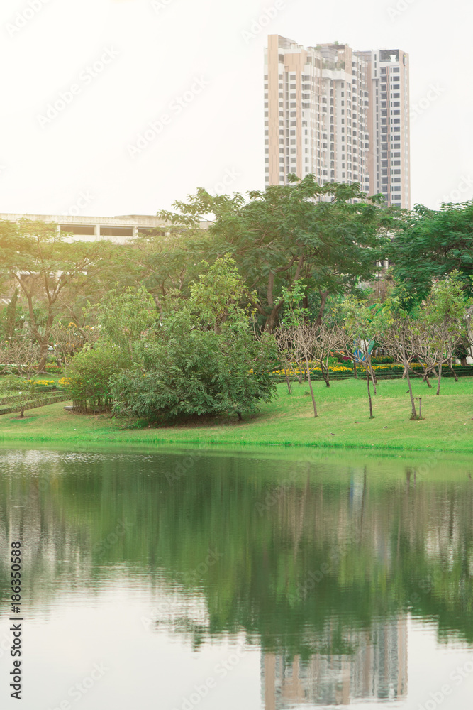 Obraz premium Pond in the public park with beautiful nature and building at Bangkok.