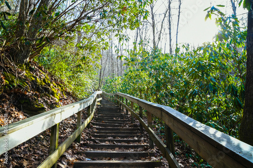 The Stairs