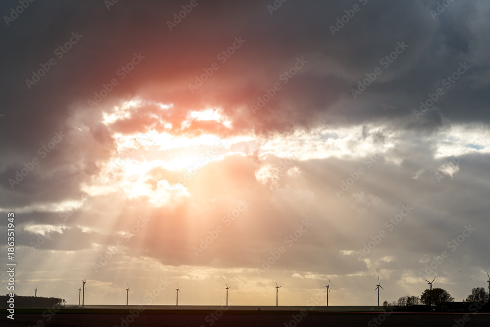 Sunset over the windmills on the field