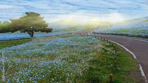 Fantastic panorama of a large mountain range. The winding mountain road. The autumn time of the year. photo