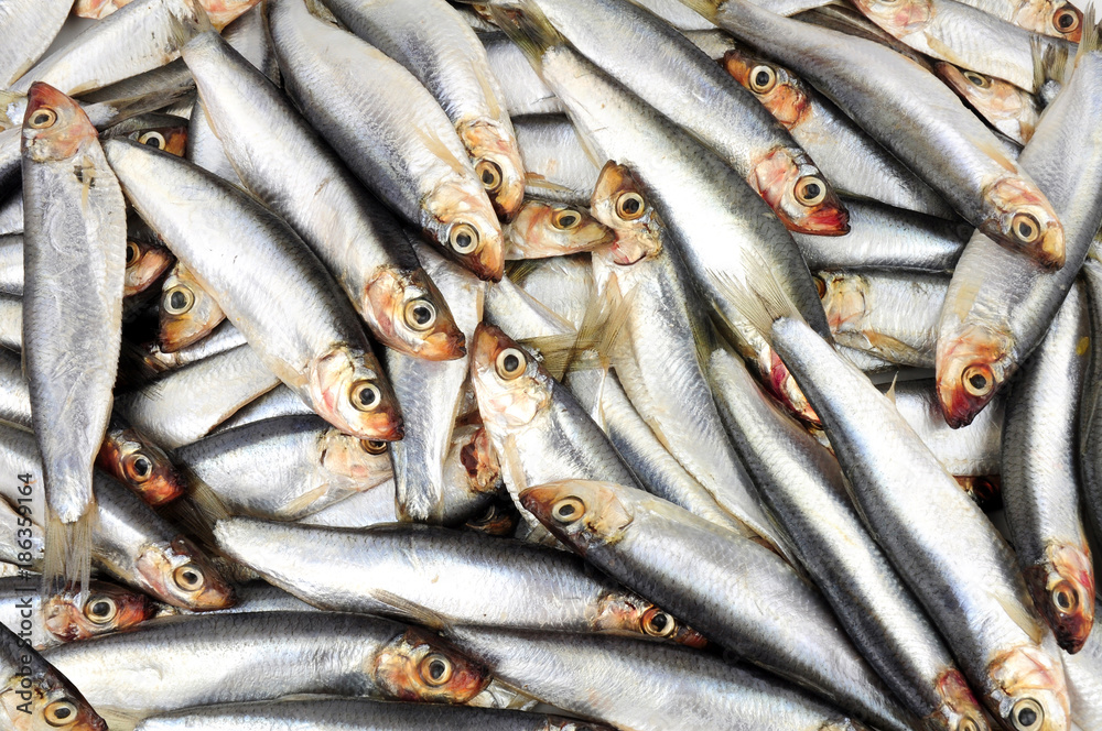 Fresh raw European fish sprats seafood background Fresh raw European fish sprats seafood background