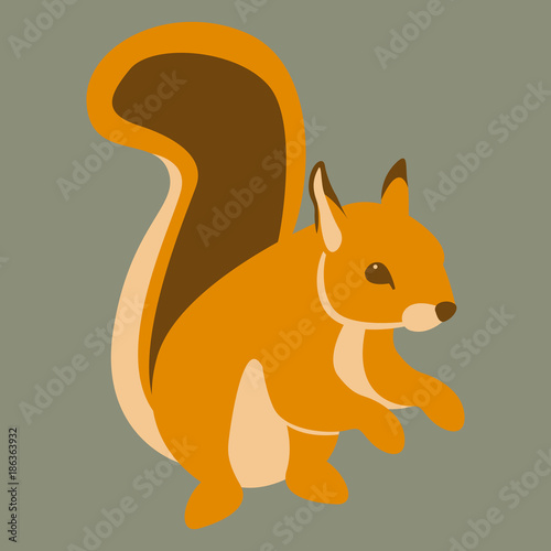 red squirrel vector illustration flat style profile side