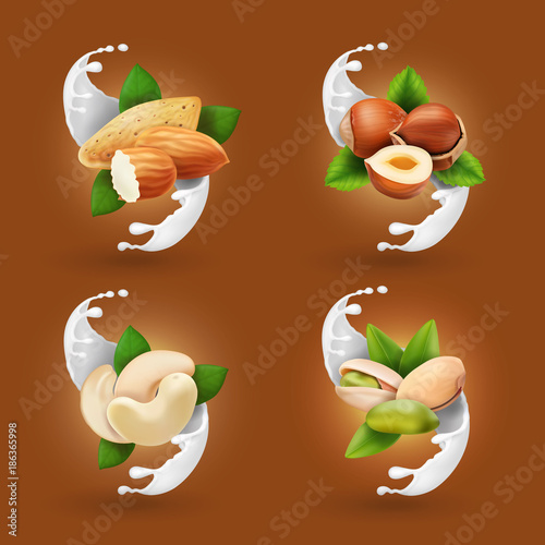 Nut collection realistic in milk splash or ice cream. Hazelnut, pistachio, almond, cashew