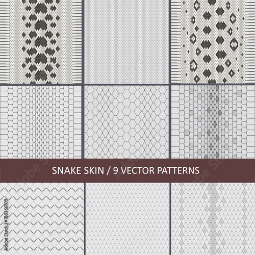 set of vector graphic snake skin textures