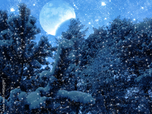 winter landscape forest in snow frost with moon and stars