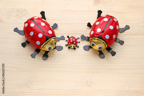 Bild auf Leinwand small family of chocolate ladybugs