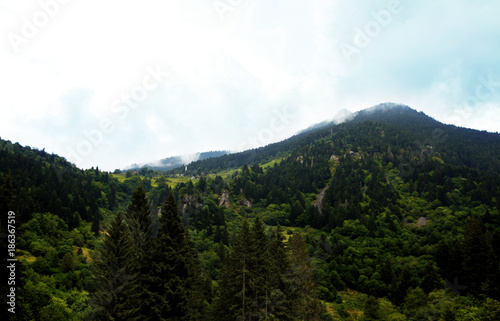 kaçkar mountain, çat village, nort anatolia, turkey 