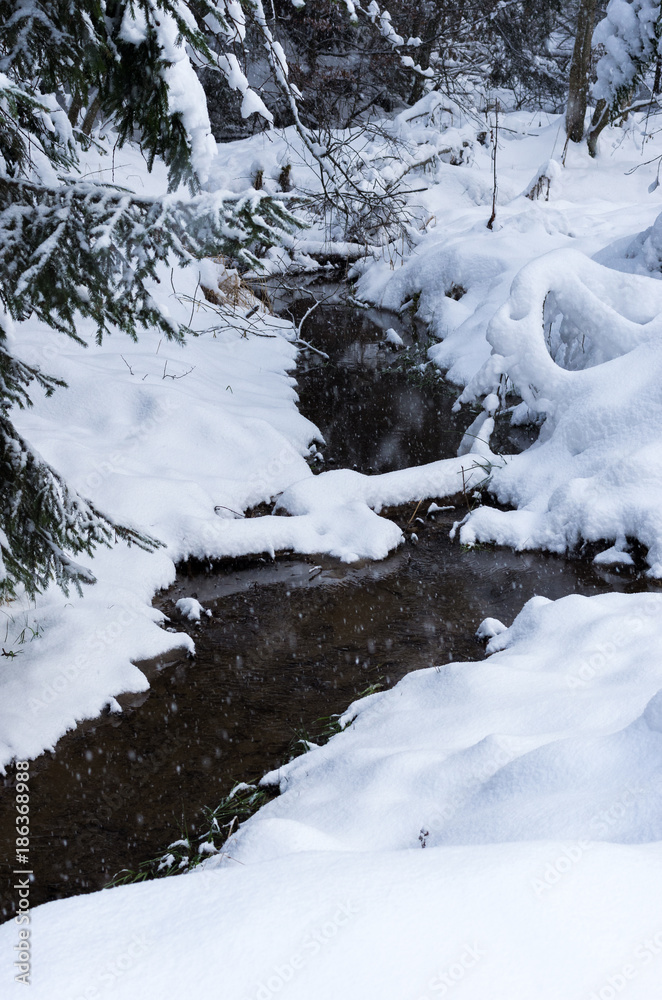 Fototapeta premium River in the mountains. Source of water in the winter mountains.