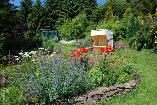flowers in a garden in summer