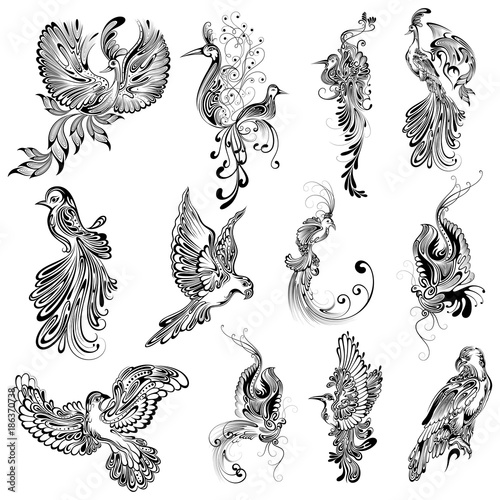 Tattoo art design of Bird collection