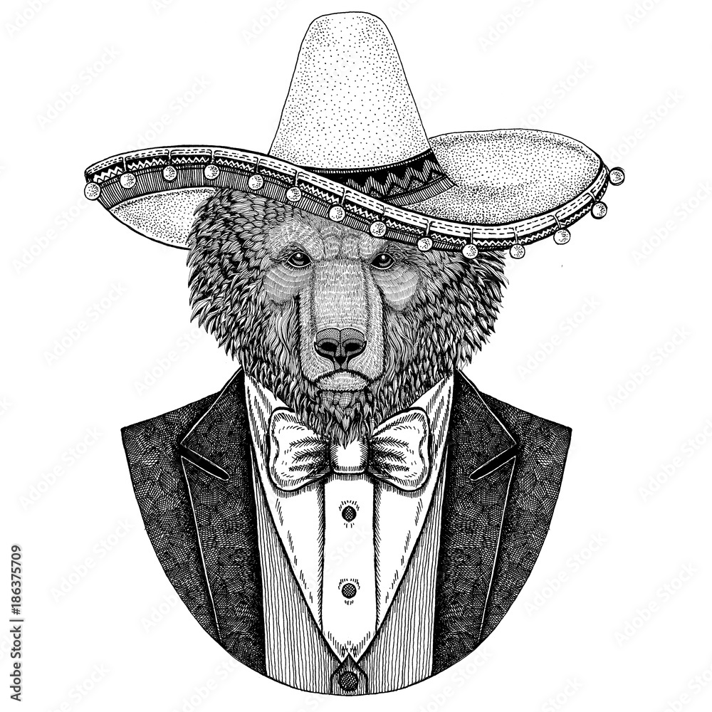 Brown bear Russian bear Wild animal wearing Sombrero - traditional mexican  hat Hand drawn illustration for tattoo, emblem, logo, badge, patch, t-shirt  Stock Illustration | Adobe Stock