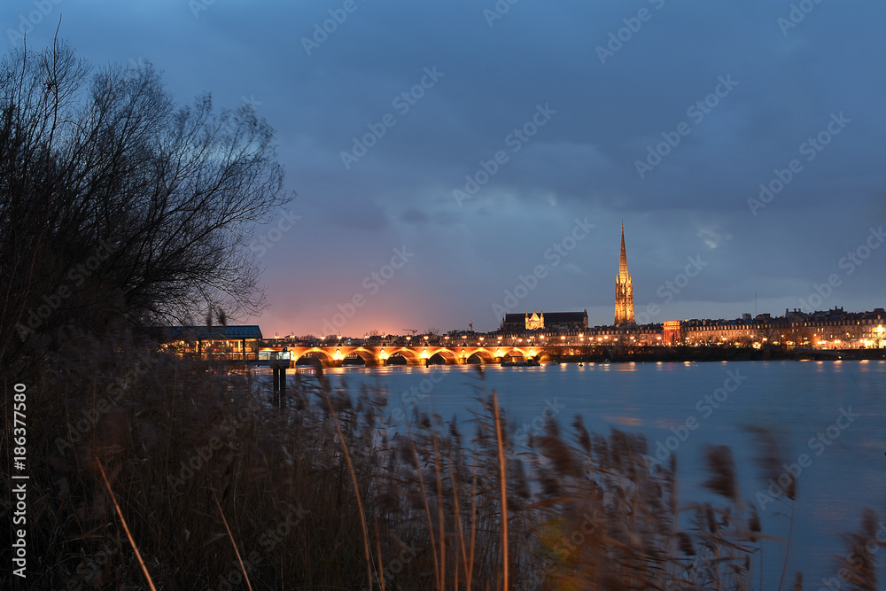 Fototapeta premium le pont de pierre de bordeaux de nuit
