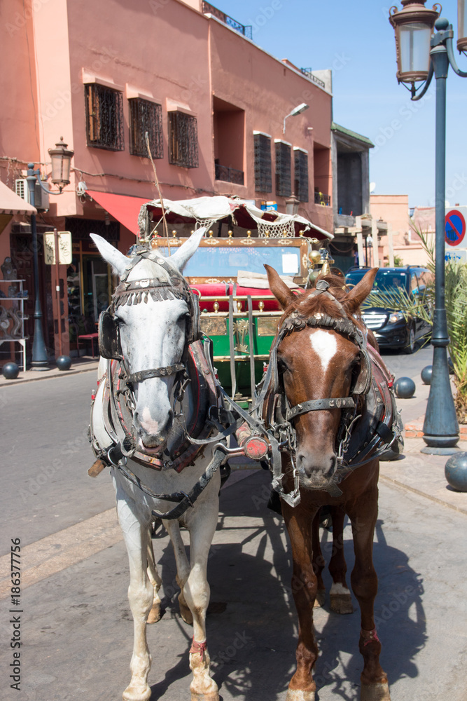street life morocco, donkeys, people, herbs, work, streets, food, kasbah holiday destination you must have seen street life morocco, donkeys, people, herbs, work, streets, food, kasbah holiday destination you must have seen