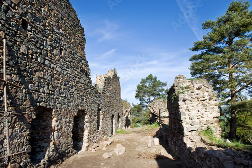 gothic medieval ruins of castle Kamyk, Kamyk nad Vltavou, Central Bohemian region, Czech republic