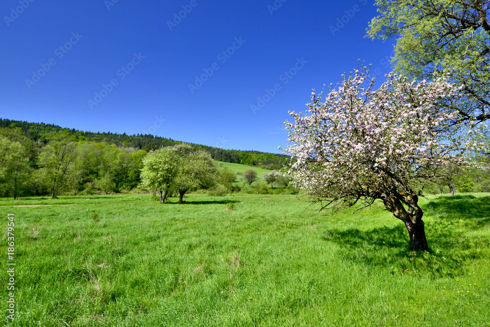 Low Beskid at spring sunny day, Poland Low Beskid at spring sunny day, Poland