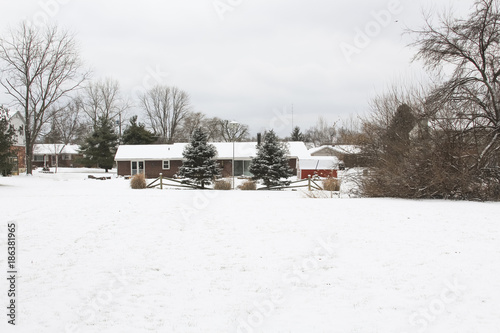 The freshly fallen snow on the backyard landscape. © Al